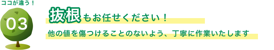 抜根もお任せください! 他の値を傷つけることのないよう、丁寧に作業いたします